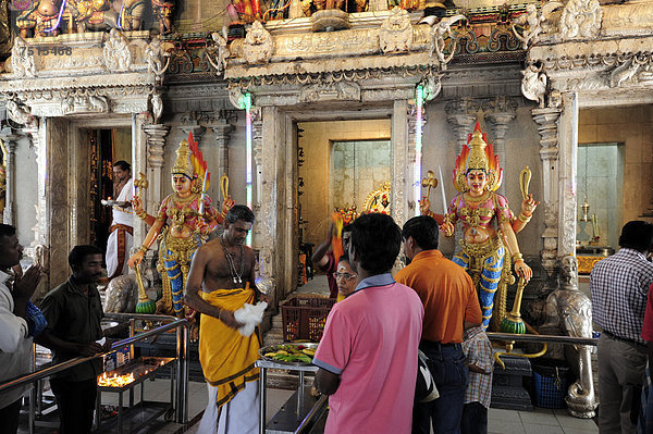 Religiöses Ritual in einem Hindu-Tempel  Veerama Kaliamman Tempel  Serangoon Straße  im indischen Viertel  Little India  Innenstadt  Singapur  Asien