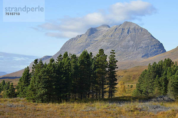 Liathach  Glen Torridon  Beinn Eighe National Nature Reserve  SNH  Kinlochewe  schottisches Hochland  Highlands  Wester Ross  Schottland  Großbritannien  Europa