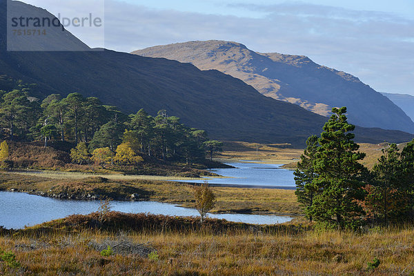 Torridon  Beinn Eighe National Nature Reserve  SNH  Kinlochewe  schottisches Hochland  Highlands  Wester Ross  Schottland  Großbritannien  Europa
