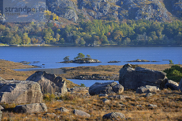 Loch Maree  Beinn Eighe National Nature Reserve  SNH  Kinlochewe  schottisches Hochland  Highlands  Wester Ross  Schottland  Großbritannien  Europa