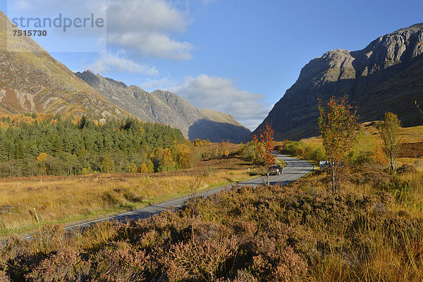 A82  Herbst im Glencoe Tal  schottische Highlands  Schottland  Großbritannien  Europa