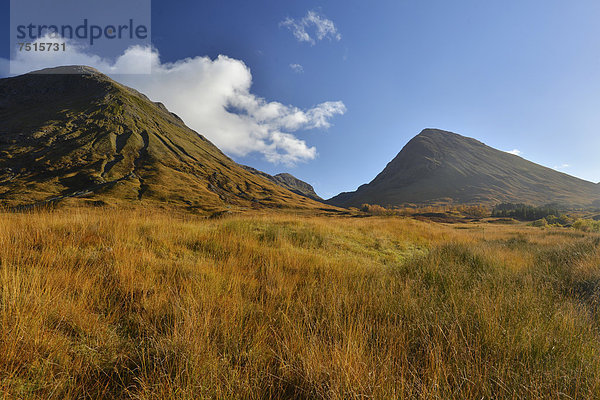 Herbst im Glencoe Tal  schottische Highlands  Schottland  Großbritannien  Europa