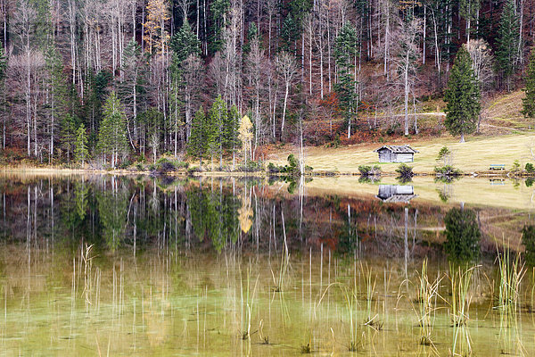 Herbstlicher Wald und Hütte mit Spiegelung im Ferchensee  Bayern  Deutschland  Europa