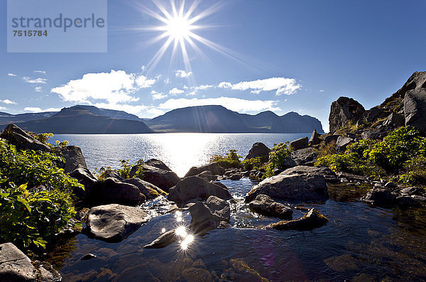 Flussmündung ins Meer  Hornstrandir  Westfjorde  Island  Europa