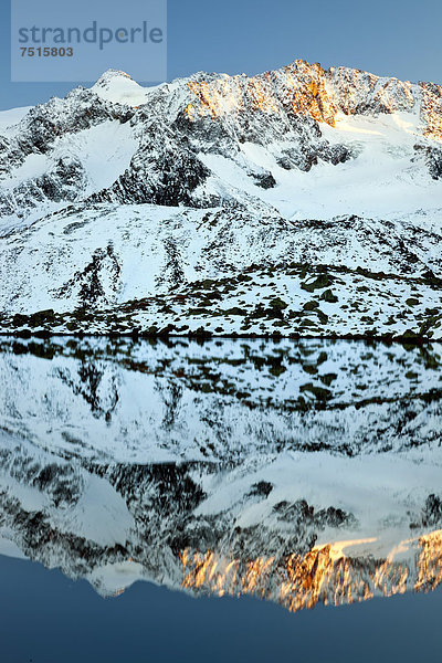 Zuckerhütl mit Spiegelung im Wasser  Stubaier Gletscher  Tirol  Österreich  Europa