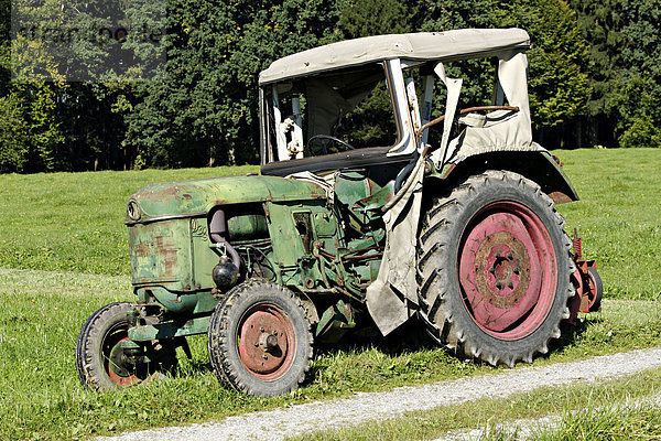 Alter Deutz D30s Traktor auf Ackerland  Chiemgau  Oberbayern  Deutschland  Europa