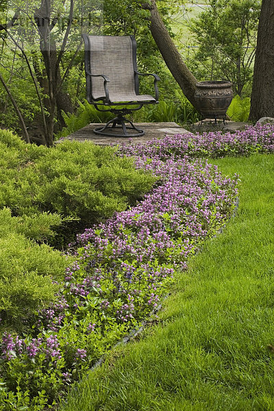 Lila Blumen in einem Blumenbeet führen zu einem Stuhl in einem gestalteten Garten im Frühling  Quebec  Kanada - Property Release nur für Bücher  Kalender  Zeitschriften  Zeitungen und zur redaktionellen Verwendung