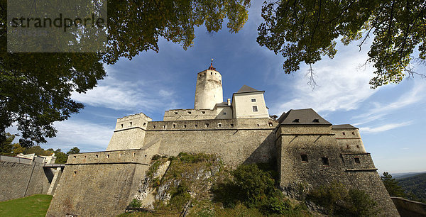 Burg Forchtenstein  Burgenland  Österreich  Europa