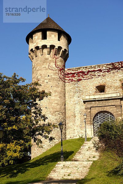 Burgpalast  Burgmauern und Befestigungsanlagen  Budapest  Ungarn  Europa