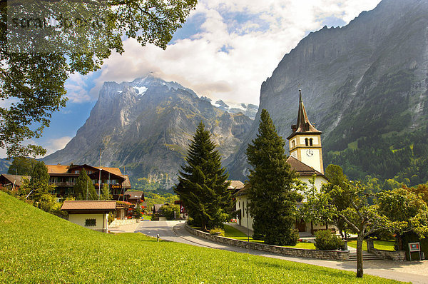 Das Dorf Grindelwald mit Kirche im Sommer  Berner Alpen  Schweiz  Europa
