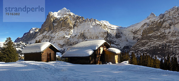 Berghütte im Winter  hinten das Wetterhorn  Grindelwald  Schweizer Alpen  Schweiz  Europa