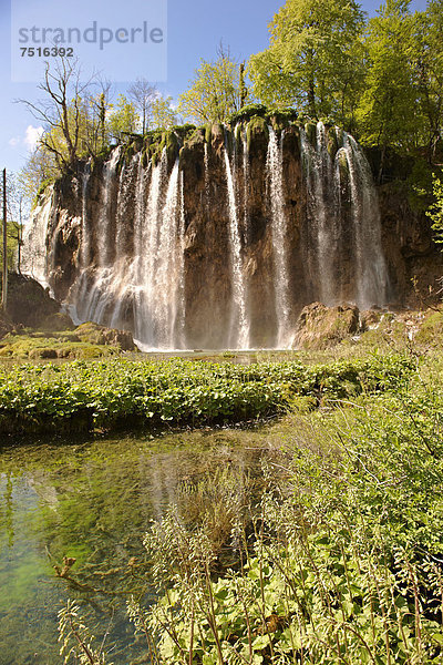 Wasserfall  Nationalpark Plitvicer Seen  UNESCO-Weltkulturerbe  Kroatien  Europa