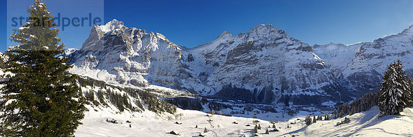 Berglandschaft in den Alpen  hinten das Wetterhorn  Grindelwald  Schweizer Alpen  Schweiz  Europa