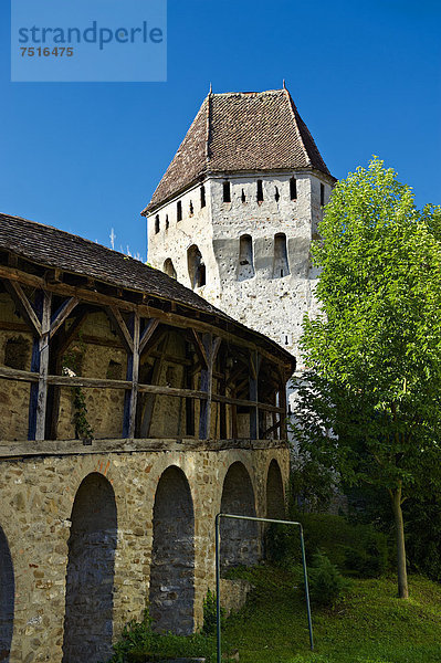 Wehrturm von Sighisoara  mittelalterliche  sächsische Zitadelle  Sighisoara  deutsch Schäßburg  Siebenbürgen  Rumänien  Europa