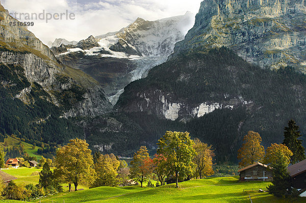 hoch oben Europa Gebäude Berg Wiese Grindelwald schweizerisch Schweiz