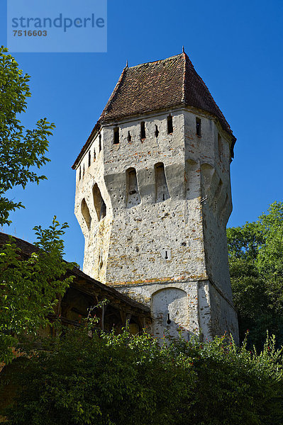 Wehrturm von Sighisoara  mittelalterliche Zitadelle  Siebenbürgen  Rumänien  Europa