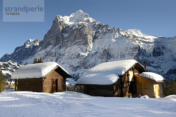 Schweizer Chalets im Winter mit Blick auf das Wetterhorn  Schweizer Alpen  Schweiz  Europa