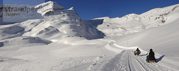 Rodeln im Schnee in den Bergen in der Nähe von Grindelwald First  Schweizer Alpen  Schweiz  Europa