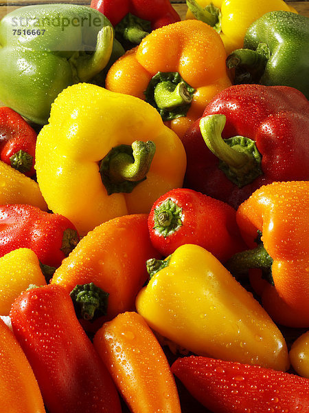 Gemische Paprikaschoten  roter  grüner  gelber und oranger Paprika