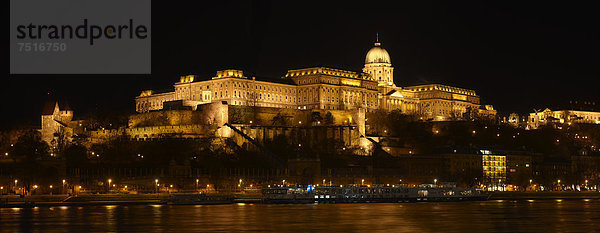 Schloss mit der Donau bei Nacht  Budapest  Ungarn  Europa
