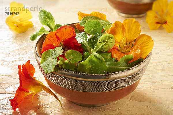 Frische Blume Salat Kapuzinerkresse