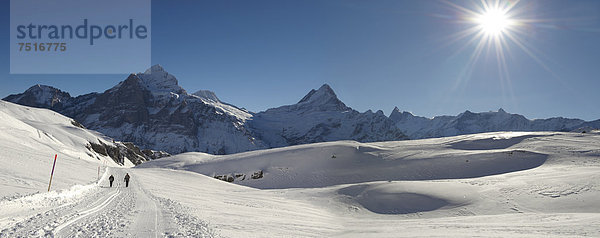 Schnee in den Bergen in der Nähe von Grindelwald First  Schweizer Alpen  Schweiz  Europa