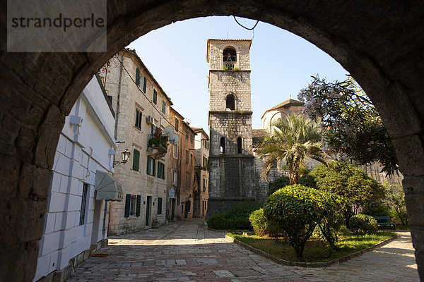Kirche St. Marija Koldata  durch Stadttor gesehen  Kotor  Montenegro  Europa