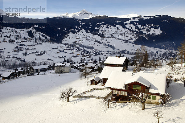 Schweizer Chalets im Winter  Grindelwald  Schweizer Alpen  Schweiz  Europa