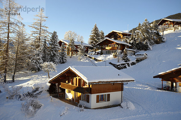 Schweizer Chalets im Winter  in der Nähe von Grindelwald  Schweizer Alpen  Schweiz  Europa