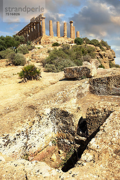Griechischer Tempel der Juno Lacina  Agrigento  Sizilien  Italien  Europa