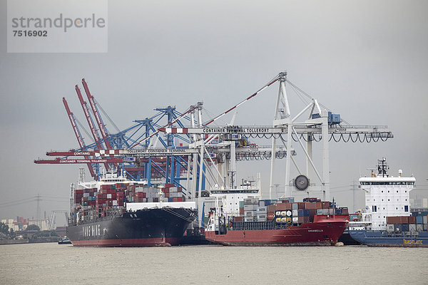 Schiffe am Containerterminal Tollerort  Hamburg  Deutschland  Europa