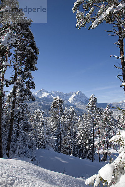 Wettersteingebirge  Alpspitze  Zugspitze  Winter  Schneelandschaft  Garmisch-Partenkirchen  Oberbayern  Bayern  Deutschland  Europa