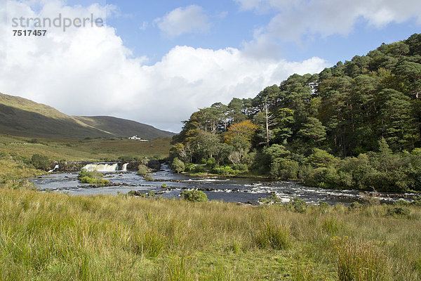 'Aasleagh-Wasserfall  Leenane  bekannt durch den Film ''The Field''  County Galway  Irland  Europa'