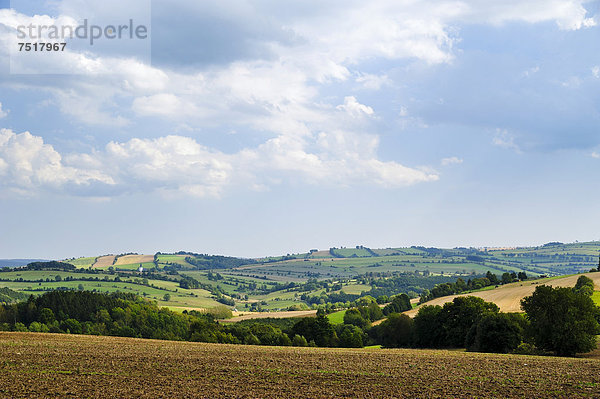 Landschaft in der Nähe des Ortes Thermalbad Wiesenbad  von der Freiberger Straße aus gesehen  Erzgebirge  Sachsen  Deutschland  Europa