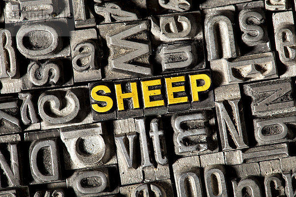 'Alte Bleilettern bilden das englische Wort ''SHEEP'''