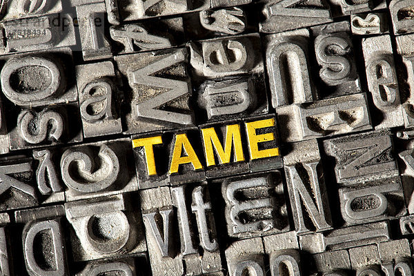 'Alte Bleilettern bilden das englische Wort ''TAME'''