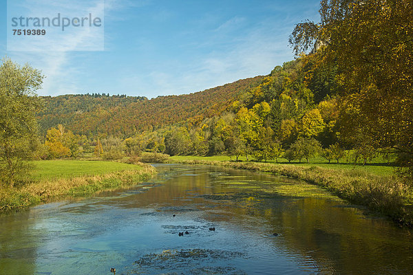 Die Blau im Blautal  ein 14 5 km langer  linker Nebenfluss der Donau von Blaubeuren nach Ulm  Alb-Donau-Kreis  Baden-Württemberg  Deutschland  Europa  ÖffentlicherGrund