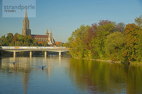 Panorama über die Donau nach Ulm mit Ulmer Münster  Schwaben  Baden-Württemberg  Deutschland  Europa  ÖffentlicherGrund