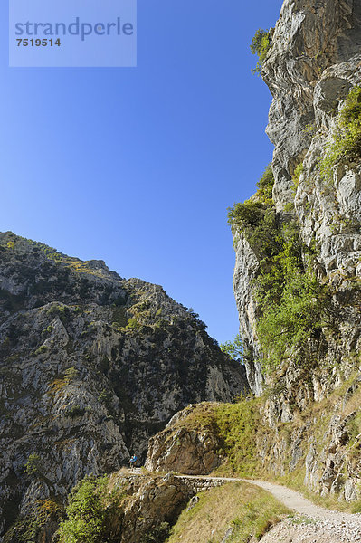 Schlucht des Rio Cares  Kalksteinmassiv des Picos de Europa  Wanderer  Nationalpark Picos de Europa  Kantabrisches Gebirge  Kantabrien  Nordspanien  Spanien  Europa  ÖffentlicherGrund