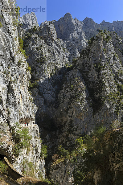 Schlucht des Rio Cares  Kalksteinmassiv des Picos de Europa  Wanderer  Nationalpark Picos de Europa  Kantabrisches Gebirge  Kantabrien  Nordspanien  Spanien  Europa  ÖffentlicherGrund