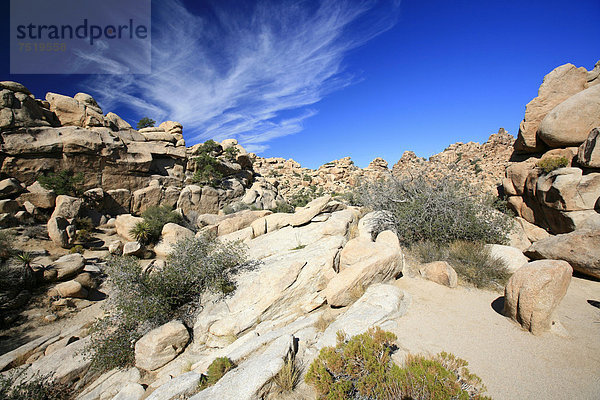 Felsenlandschaft im Joshua Tree National Park  Mojawe-Wüste  Kalifornien  USA