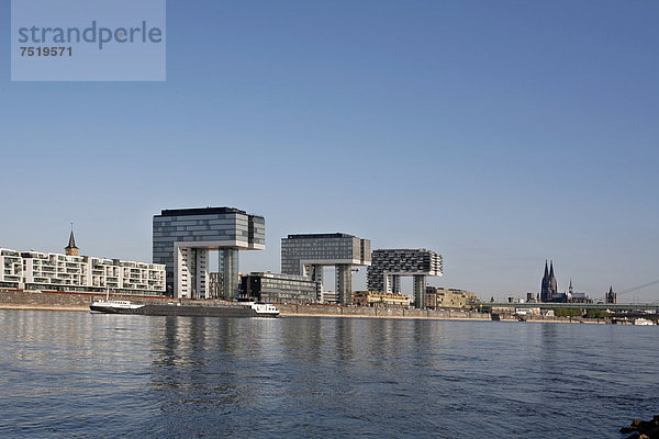 Kranich Hafen Europa Gebäude Fluss Kathedrale Köln Turmkran Deutschland Nordrhein-Westfalen Nordrhein-Westfalen