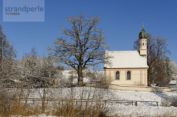 Ramsachkircherl oder Kirche St. Georg im Winter im Murnauer Moors  Ramsach  Murnau  Pfaffenwinkel  Oberbayern  Bayern  Deutschland  Europa