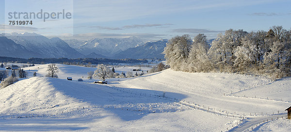 Winterlandschaft  Blick von der Aidlinger Höhe auf das Estergebirge  Wetterstein und Ettaler Mandl über dem Loisachtal und dem Murnauer Moos  Oberbayern  Bayern  Deutschland  Europa