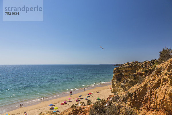 Strand Praia da Rocha  Portimao  Algarve  Atlantik  Portugal  Europa