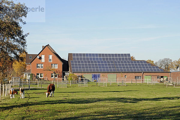 Photovoltaikanlage  Solarstromanlage  Bauernhof  Scheune  Werne  Nordrhein-Westfalen  Deutschland  Europa  ÖffentlicherGrund