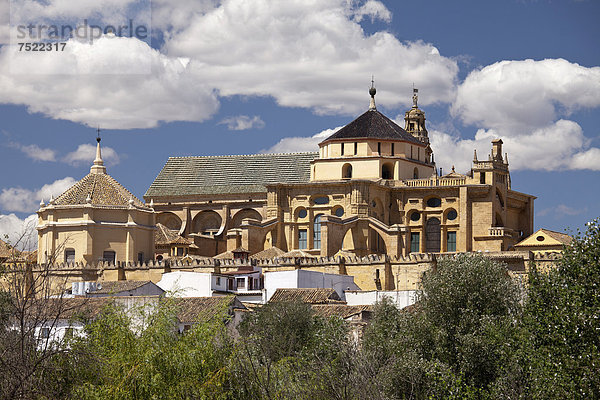 Moschee Kathedrale Mezquita Catedral  Cordoba  Andalusien  Spanien  Europa  ÖffentlicherGrund