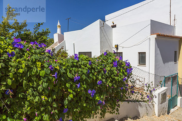 Europa Dorf angeln Algarve Ferragudo Portugal