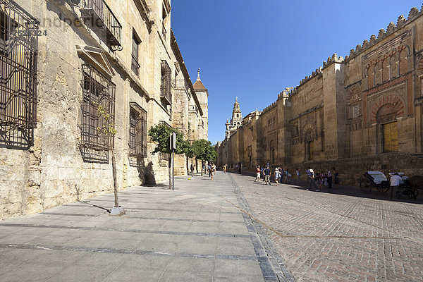 Kongresspalast und Kathedrale  ehemalige Moschee in der Altstadt  Cordoba  Andalusien  Spanien  Europa  ÖffentlicherGrund