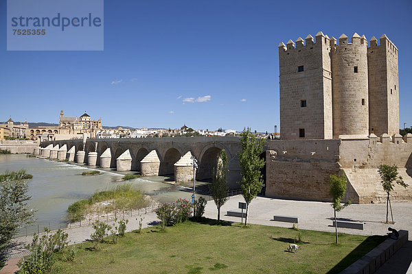 Blick auf den Turm de la Calahorra  die römische Brücke und die Kathedrale  ehemalige Moschee Mezquita  Cordoba  Andalusien  Spanien  Europa  ÖffentlicherGrund
